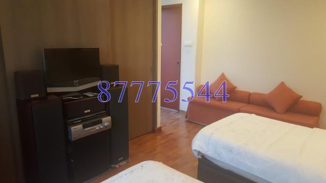 Aquarius By The Park (D16), Condominium #128877732